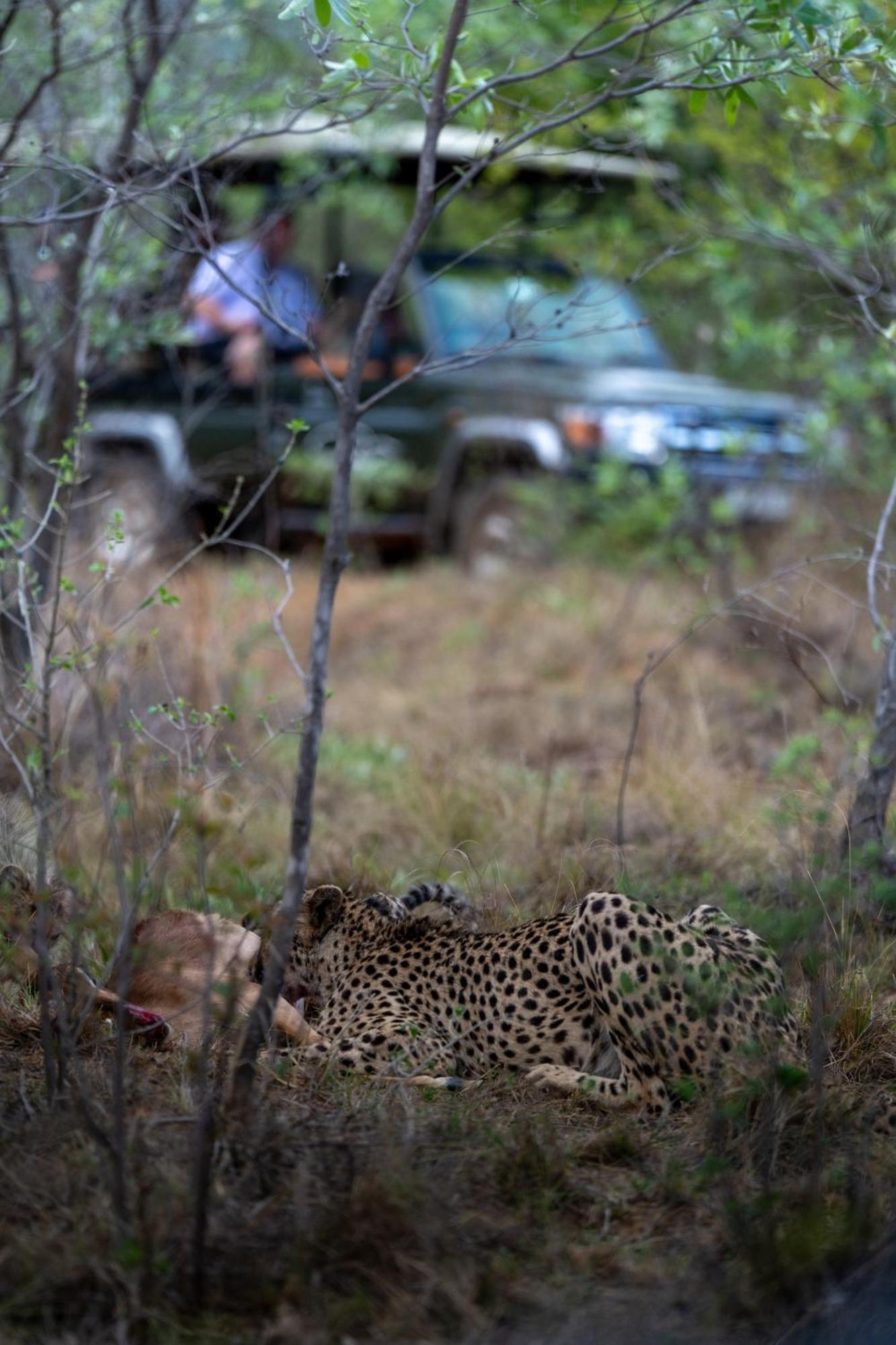 Sediba Luxury Safari Lodge Rezervaţia de vânat Welgevonden Exterior foto